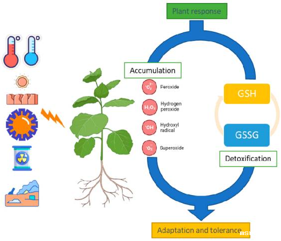 开云体育新人生物