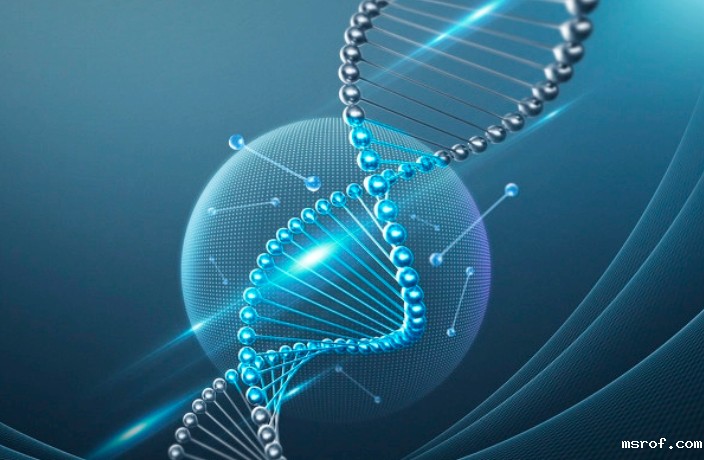 开云体育新人生物