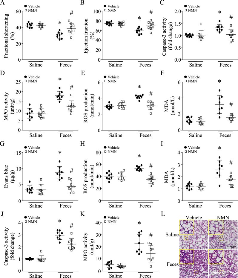 包含图片、插图等的外部文件。
对象名称为 12967_2023_4767_Fig2_HTML.jpg