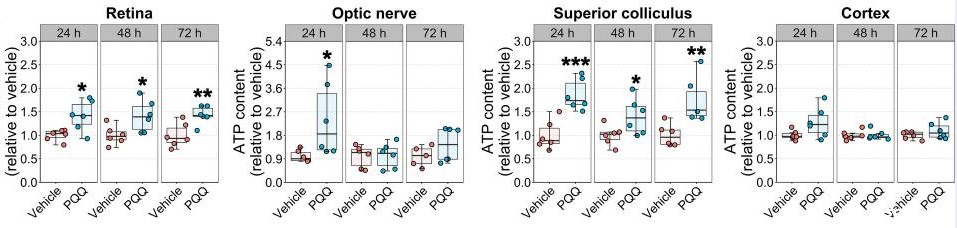 开云体育新人生物