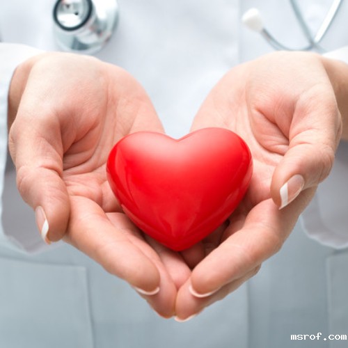 开云体育新人生物