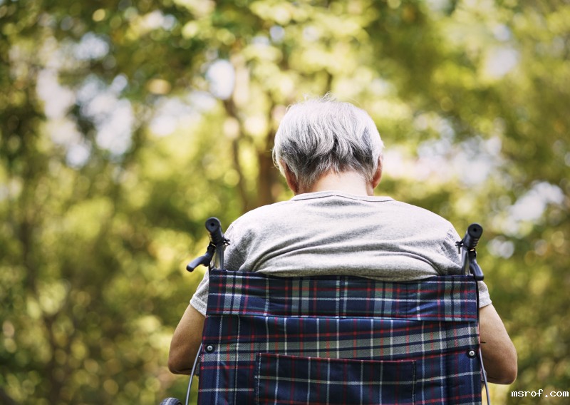 开云体育新人生物