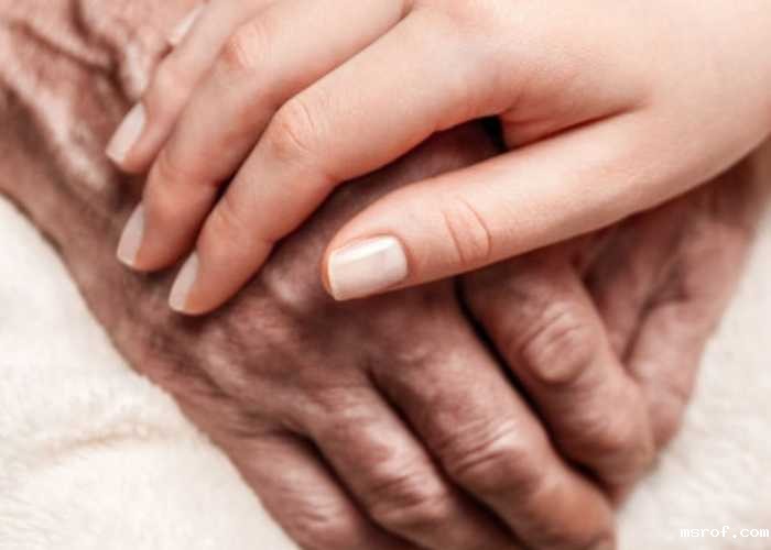 开云体育新人生物