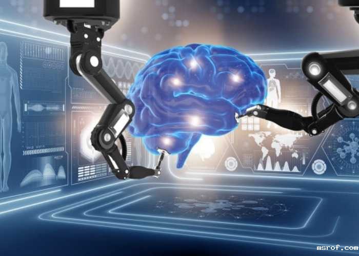 开云体育新人生物