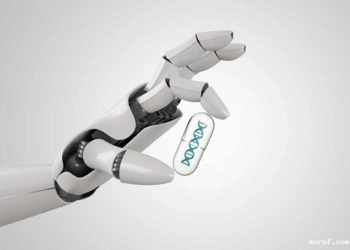 开云体育新人生物