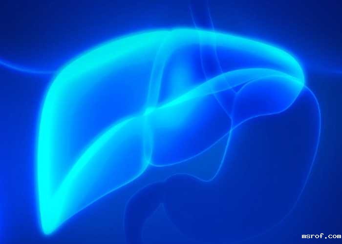 开云体育新人生物