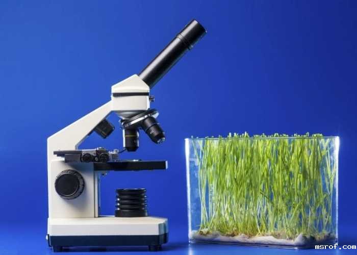 开云体育新人生物 开云体育新人生物