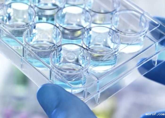 开云体育新人生物