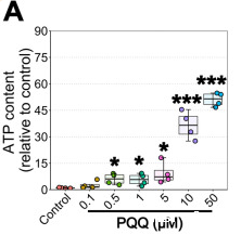 开云体育新人生物 PQQ给药对体外ATP的影响