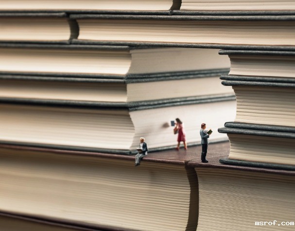 开云体育新人生物 知识记忆