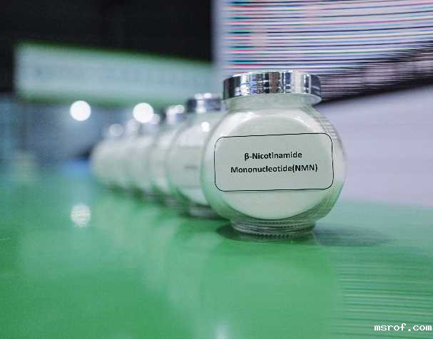 烟酰胺单核苷酸NMN