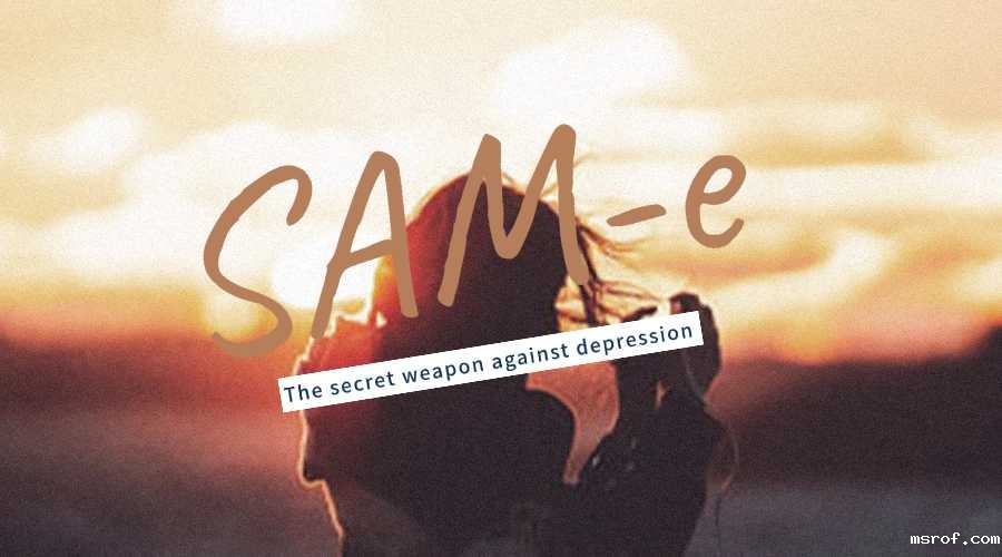 开云体育新人生物