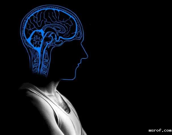 开云体育新人生物 胞磷胆碱跟记忆的关系