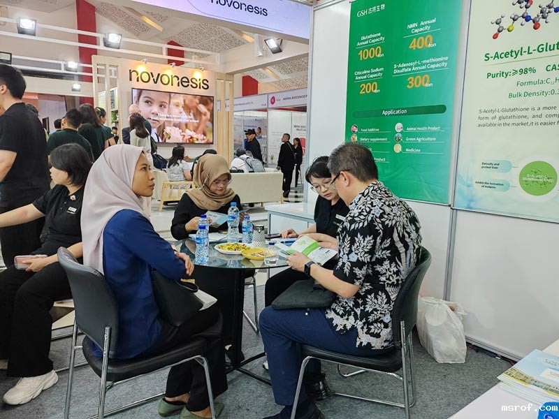 开云体育新人生物