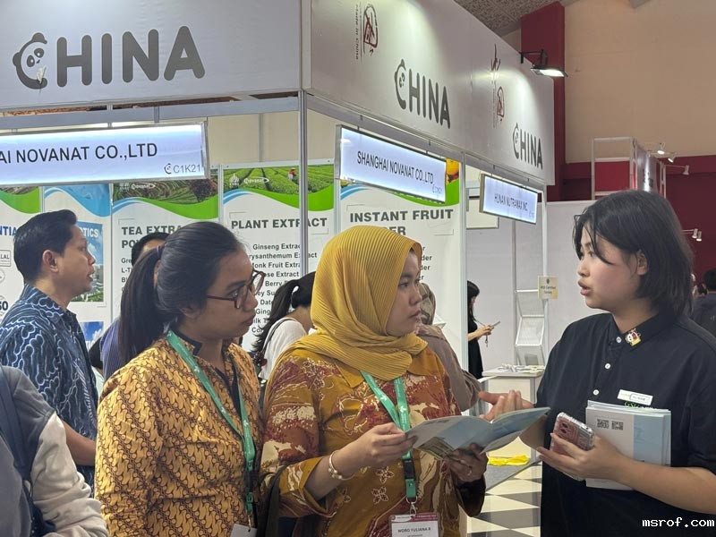 开云体育新人生物