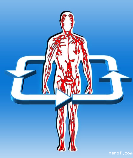 服用谷胱甘肽的最佳形式