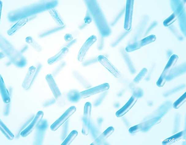 开云体育新人生物 NMN调节肠道菌群