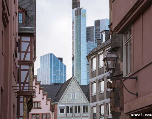 欧洲食品配料展Fi Europe 2024邀请