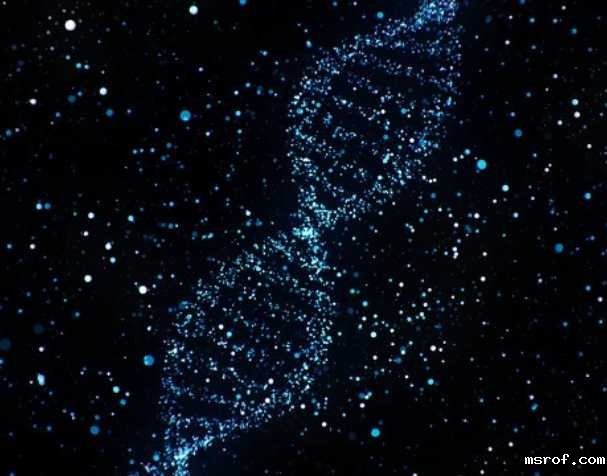 烟酰胺核糖氯化物有什么优势？