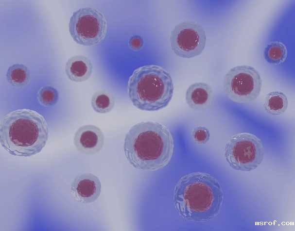 PQQ的结构与特性