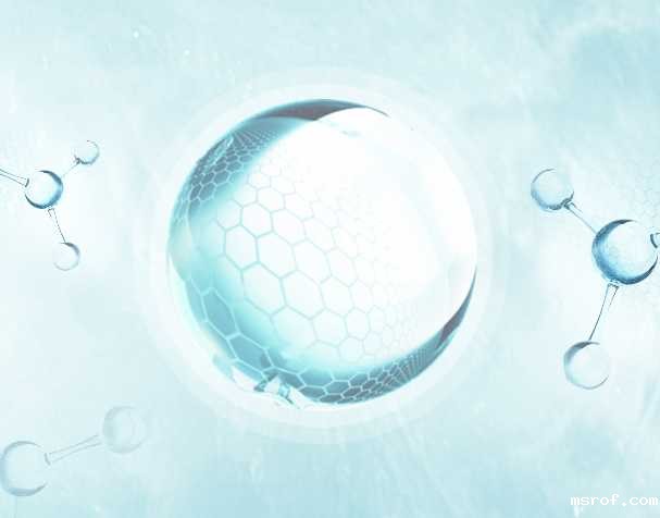 开云体育新人生物