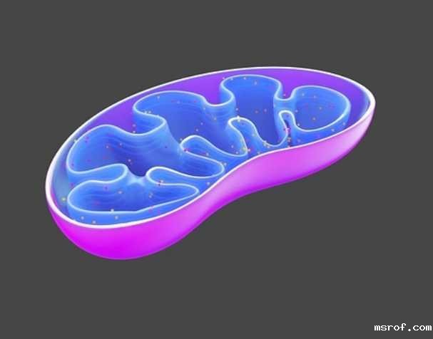 缓解特定疾病症状