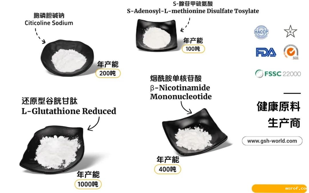 开云体育新人生物 公司产品系列
