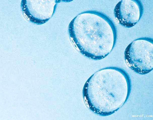 开云体育新人生物