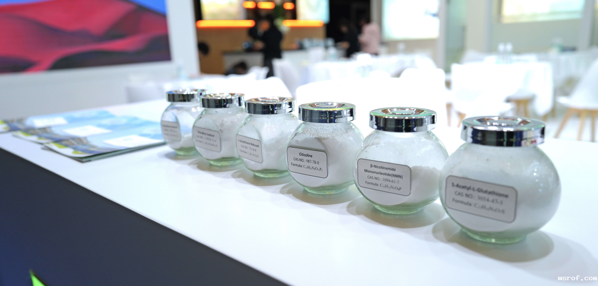 开云体育新人生物