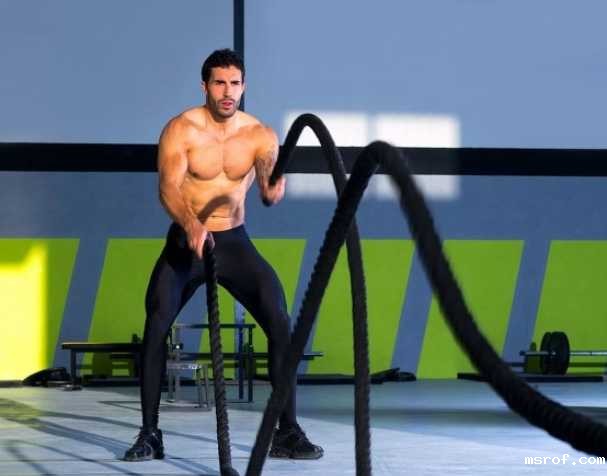 体重管理与补充剂