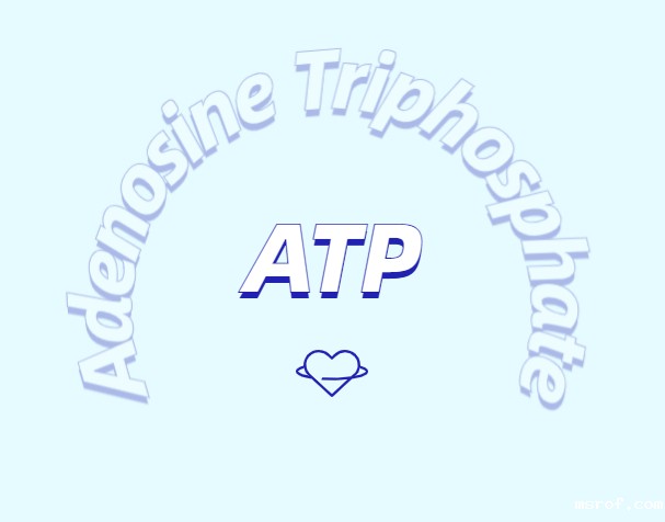 ATP对运动的作用：从力量到心脏