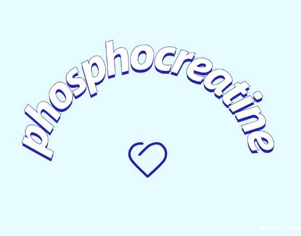 认识一下磷酸肌酸钠