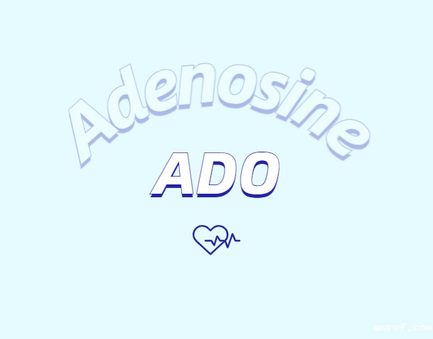 腺苷作为抗脱发外用制剂所发挥的作用