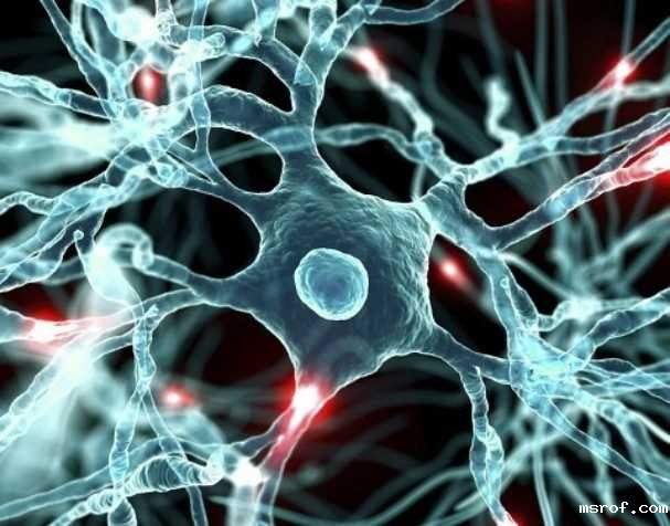 开云体育新人生物 胞磷胆碱对大脑健康的显著益处