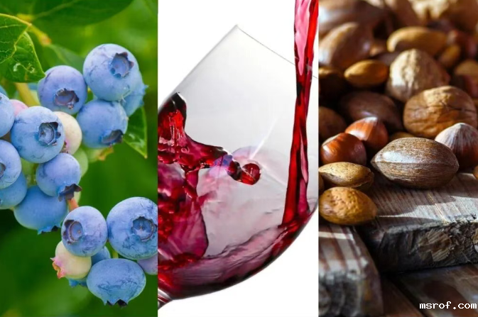 开云体育新人生物