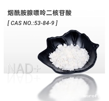 NAD+烟酰胺腺嘌呤二核苷酸