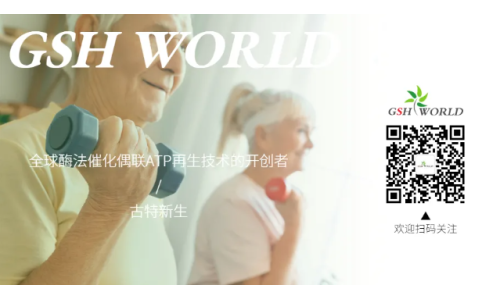 欢迎关注开云体育新人新生微信公众号，实时更新产品信息