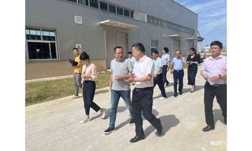 市委常委、副市长吕栋来公司调研