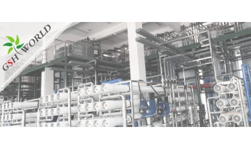 企业动态 - 安庆市区领导对开云体育新人生物的生产发展给予充分肯定