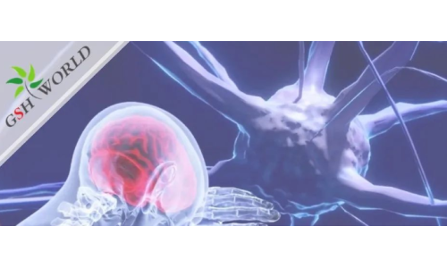 行业关注 - 谷胱甘肽在脑部疾病和衰老中的作用