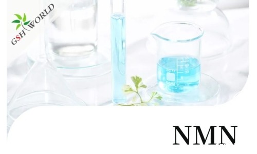 行业关注 - NMN最新安全性与耐受性评估