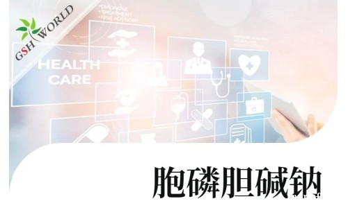 行业关注 - 胞磷胆碱钠对新冠导致相关认知衰退的潜在作用