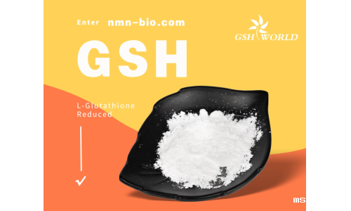 谷胱甘肽：一种多功能的抗氧化剂和解毒剂