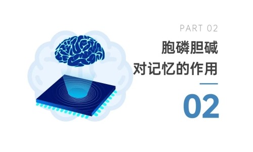 胞磷胆碱钠改善认知功能