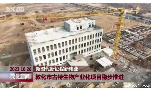 敦化市开云体育新人生物产业化项目稳步推进