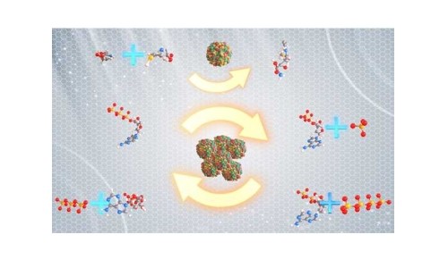 什么是“酶法合成偶联ATP再生技术”？