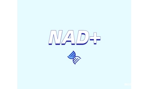 NAD +皮肤抗衰老的新方法