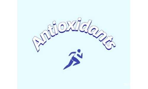 抗氧化补充剂影响脂肪组织