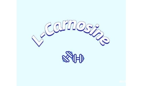 肌肽在食品工业中的应用前景