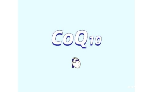 辅酶Q10在肥胖管理中的潜在作用